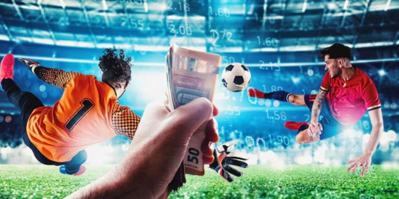 Các giải đấu hấp dẫn Mitomtv phát sóng